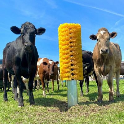 Spazzola per bovini Allevamento di bestiame Spazzola per graffi per bovini