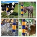 ODM spazzola da raschiatura per bovini spazzola da raschiatura per animali da allevamento per pulizia