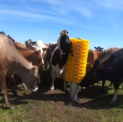 OEM Cattle Cow Scratching Brush Body Back Scratcher Con Stand