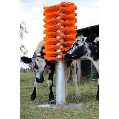 OEM Cattle Cow Scratching Brush Body Back Scratcher Con Stand