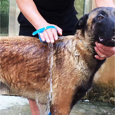 ODM spazzola da pulizia in silicone PET auto-pulizia spazzola da pulizia per cani